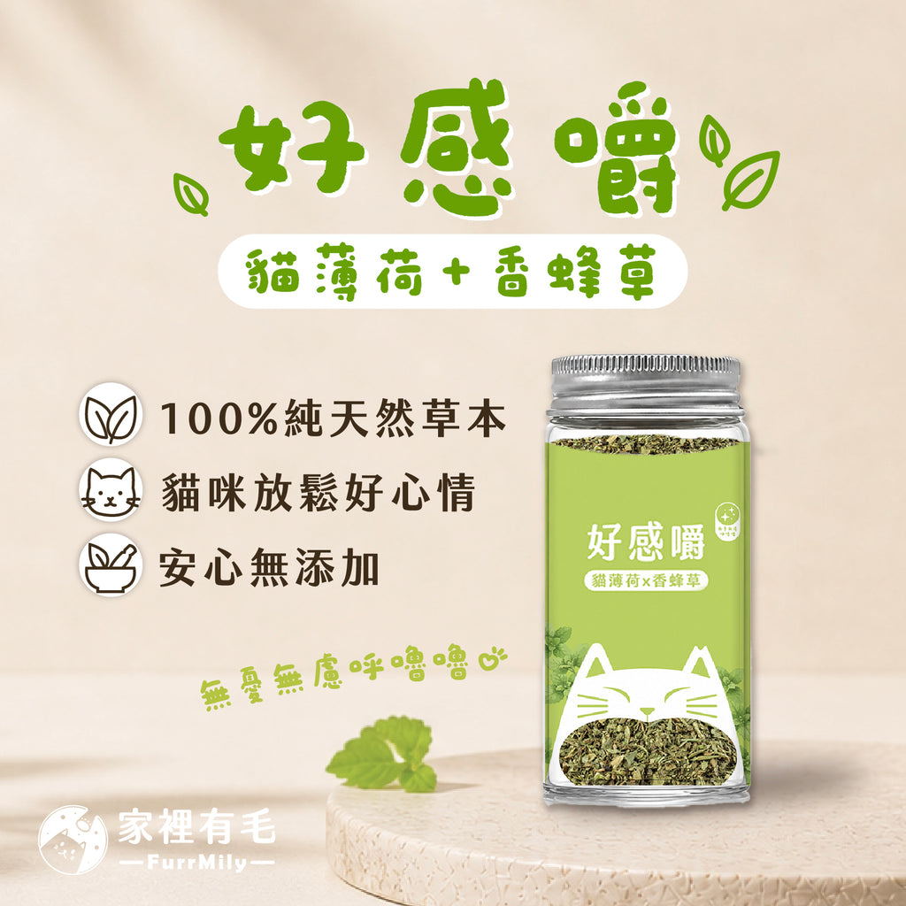 好感嚼 | 有機貓薄荷×香蜂草