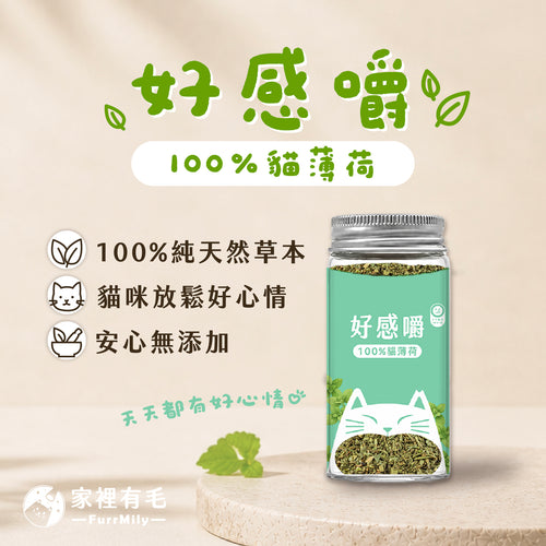 好感嚼 | 100%有機貓薄荷