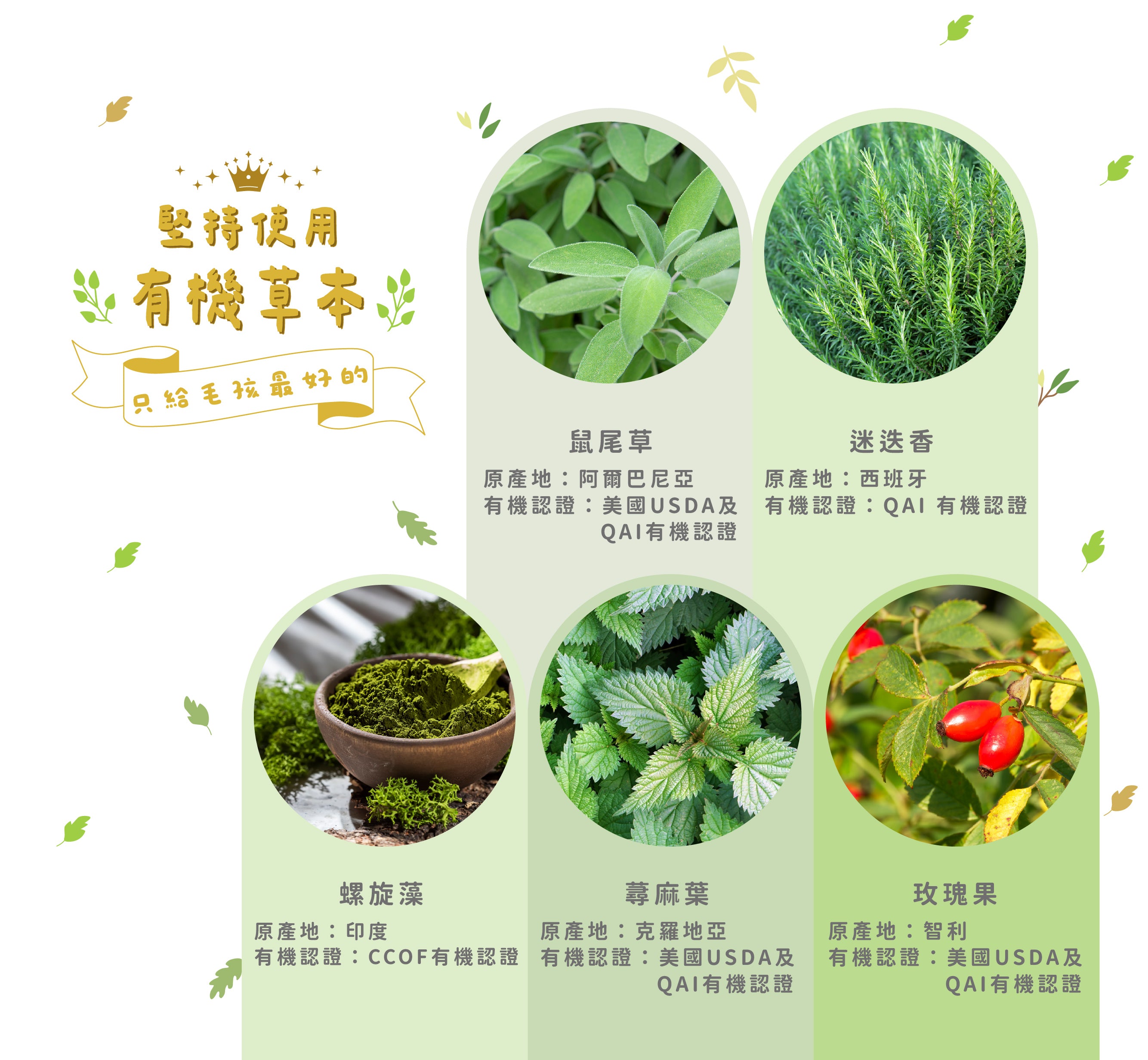 好感凍｜有機草本機能凍乾 - 螺旋藻雞肉 (大包裝 - 40g)