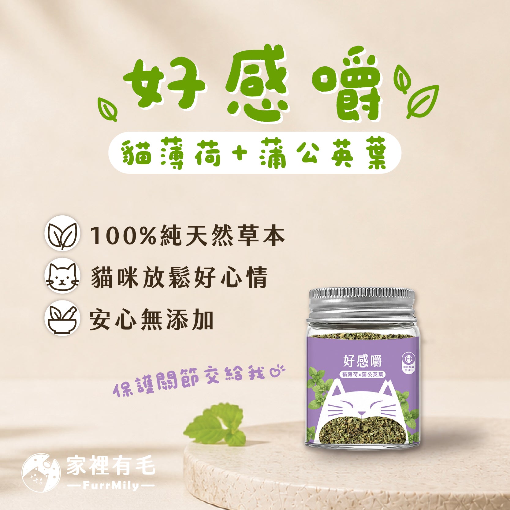 好感嚼 | 有機貓薄荷×蒲公英葉