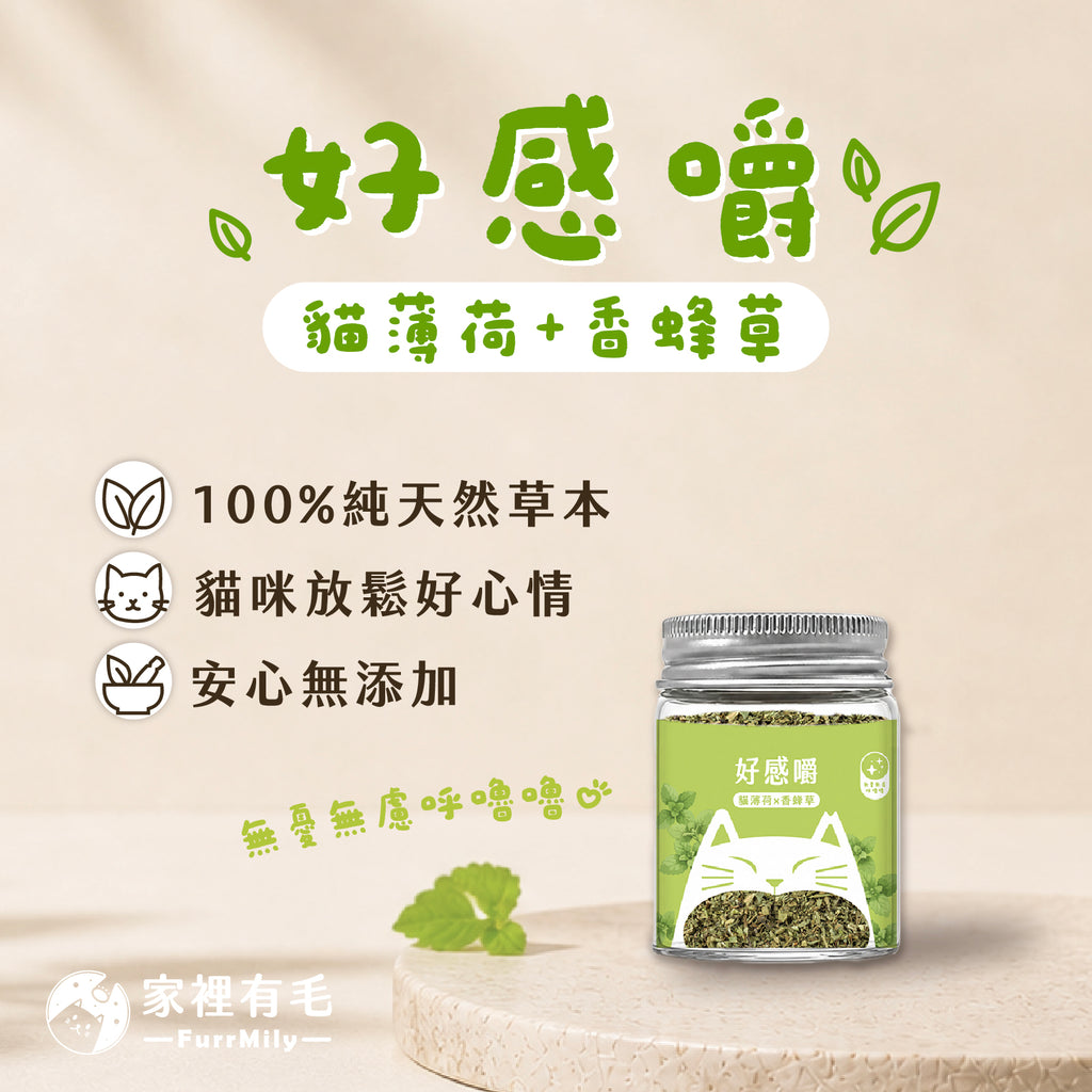 好感嚼 | 有機貓薄荷×香蜂草