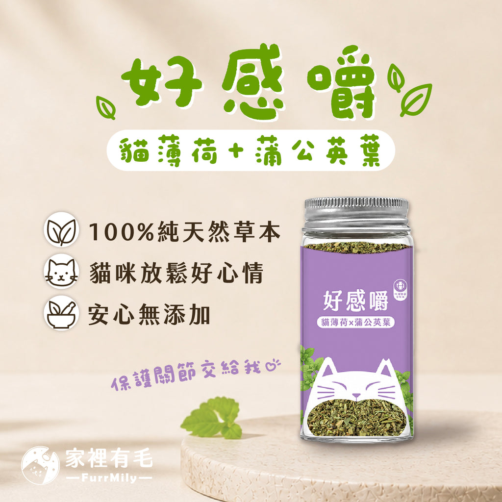 好感嚼 | 有機貓薄荷×蒲公英葉